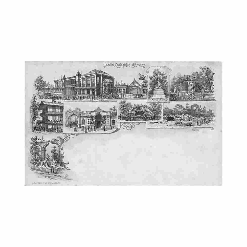 belgie antwerpen dierentuin zoo antwerpen lithografie Vintage A4 Photo Print
