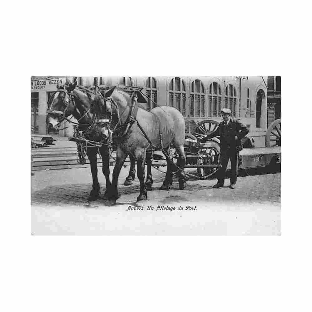 belgie antwerpen een hapering in de haven Vintage A4 Photo Print