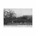 belgie buggenhout o vl otten instituut de moestuin Vintage A4 Photo Print