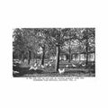 belgie ouwegem auwegem o vl van simaelj poultrij Vintage A4 Photo Print