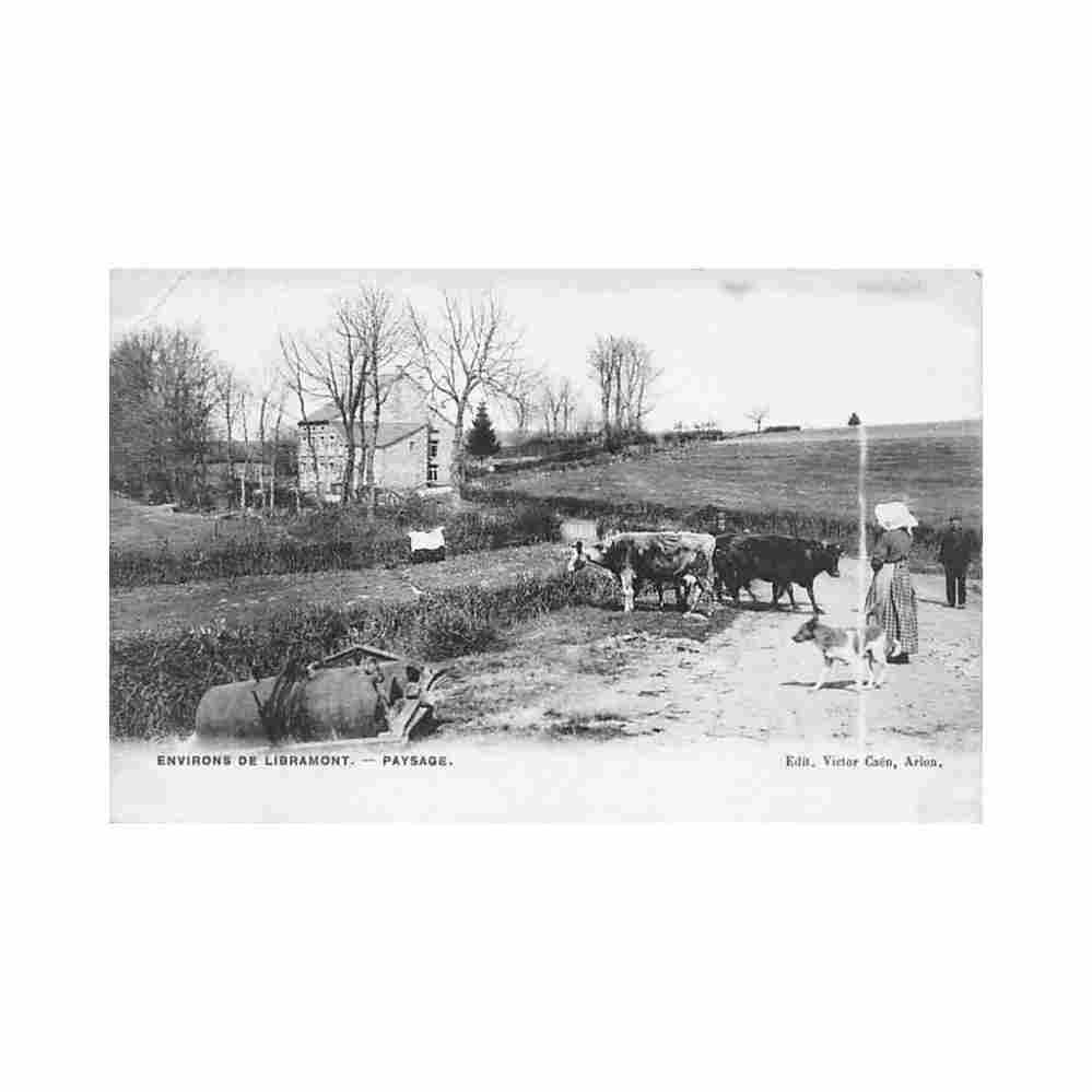 belgique environs de libramont prov lux paysage ed victor caen Vintage A4 Photo Print