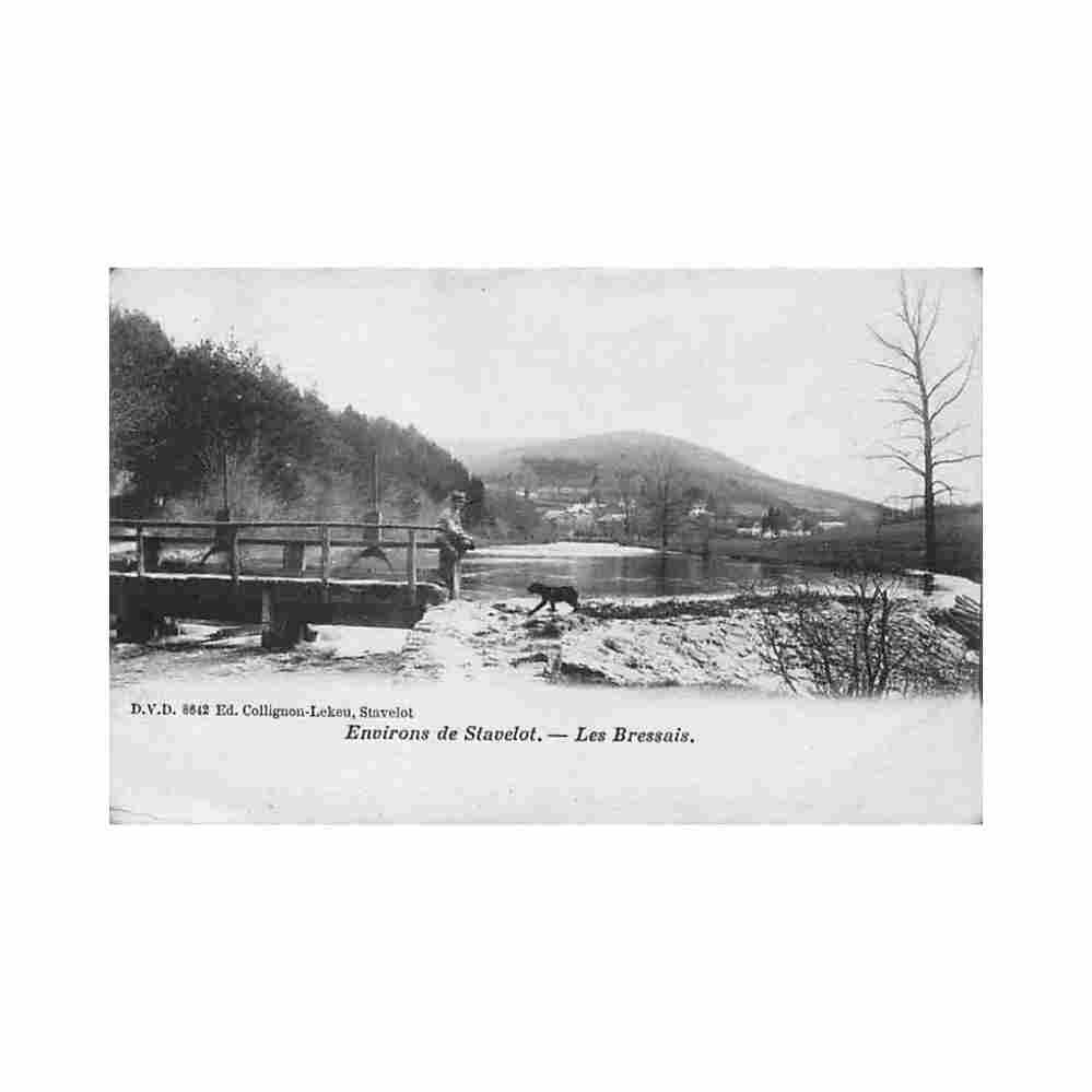 belgique environs de stavelot liege les bressais Vintage A4 Photo Print