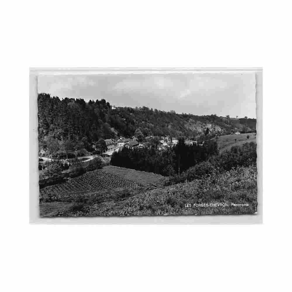 belgique les forges chevron liege panorama Vintage A4 Photo Print