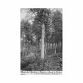 belgique mont de l enclus orroir hainaut route de l enfer ed e dessaix Vintage A4 Photo Print
