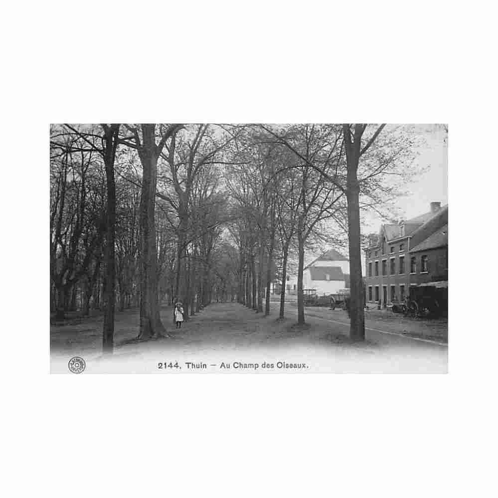 belgique thuin hainaut au champ des oiseaux Vintage A4 Photo Print
