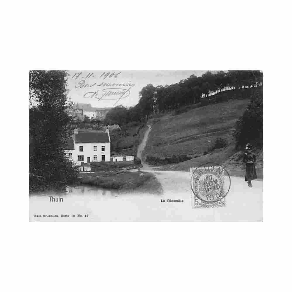 belgique thuin hainaut la biesmele ed nels serie 10 n 49 Vintage A4 Photo Print