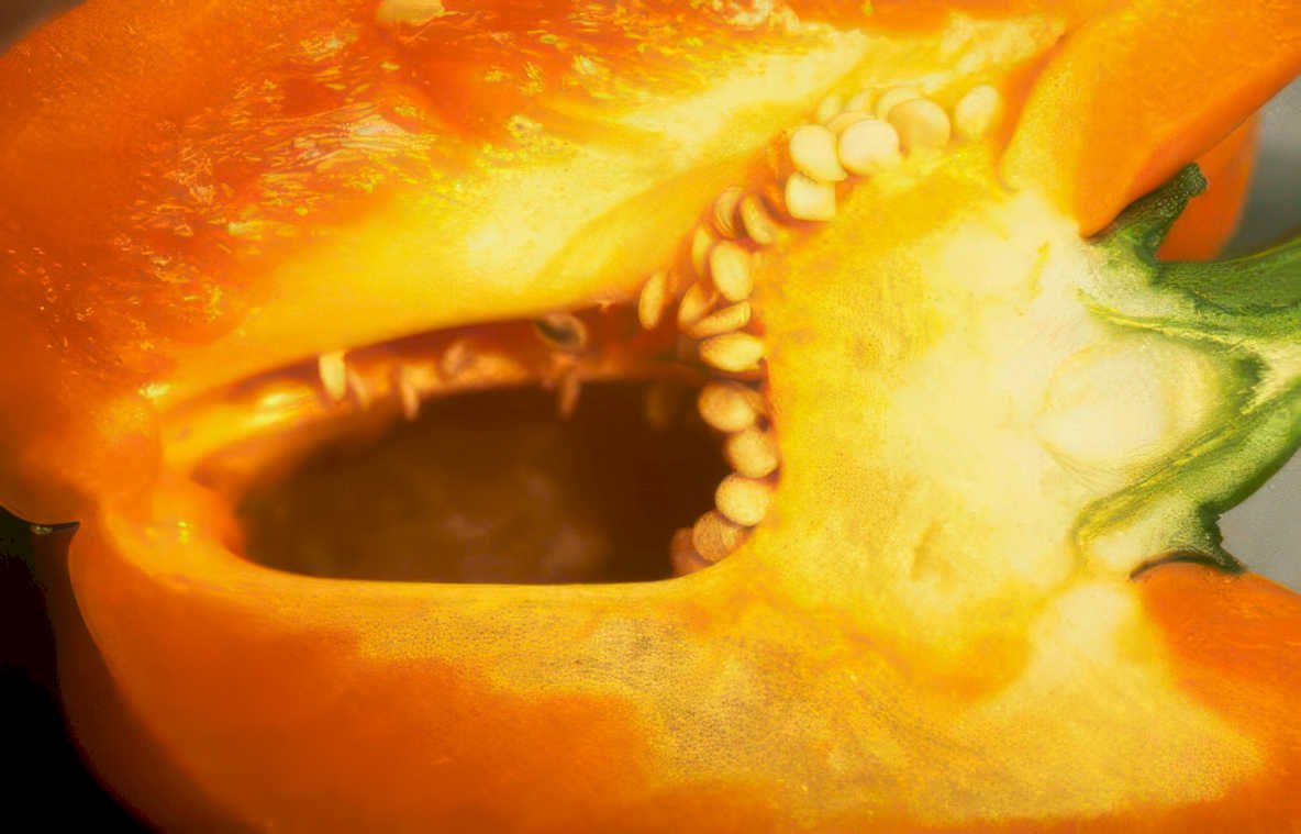 bell pepper seed Vintage A4 Photo Print