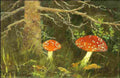 belsky toadstools under the tree Art A4 Photo Print