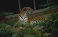 bengal tiger fern Vintage A4 Photo Print