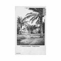 benin landscape in cotonou m o 5 benin paysage a cotonou ed m o 5 Vintage A4 Photo Print