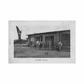 benin ostriches er benin autruches ed er Vintage A4 Photo Print