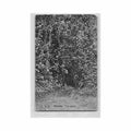 benin une source voir les scans pour l etat ed inconnu Vintage A4 Photo Print