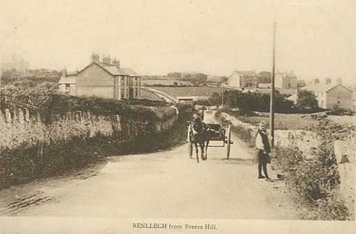 benleech breene hillVintage 1880s 1900s A4 Photo Print