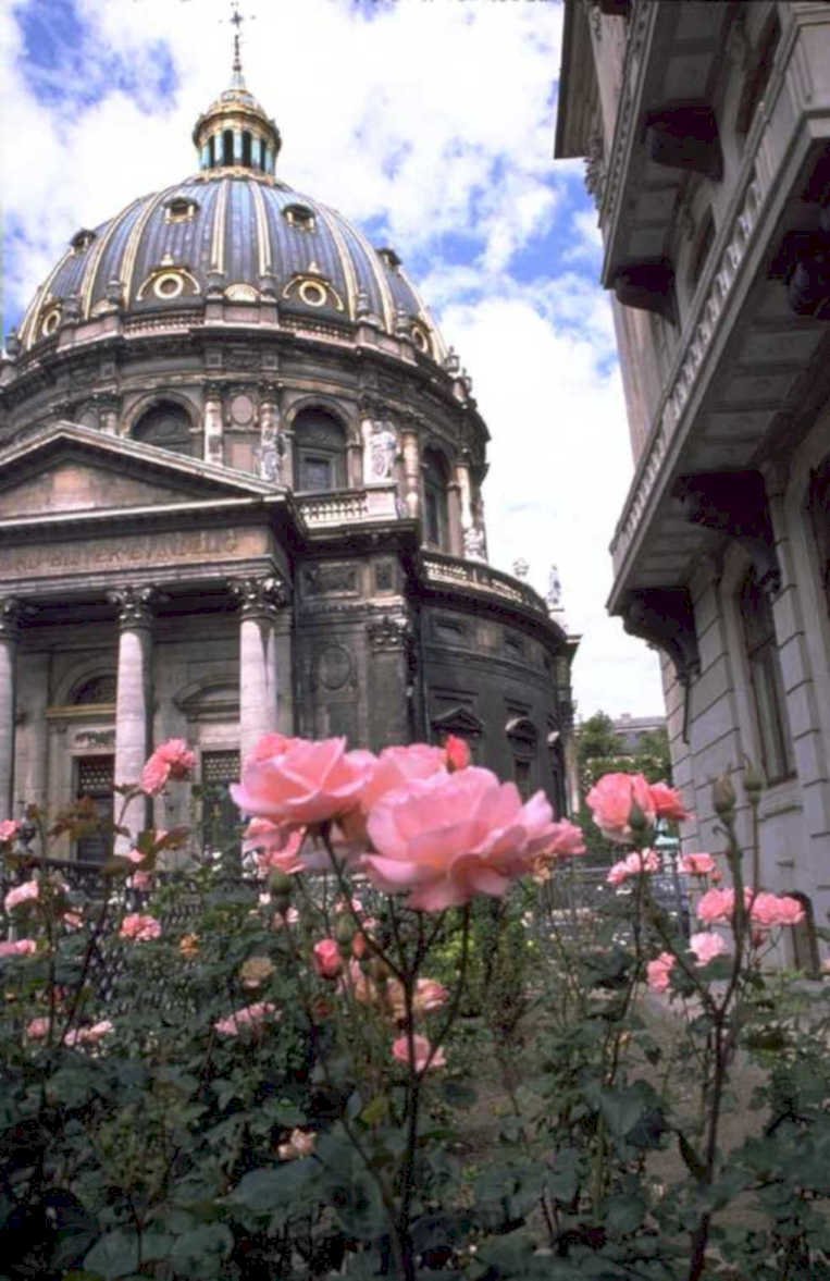 berlin dome roses 1980s 1990s A4 Photo Print