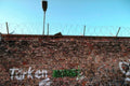 berlin wall graffiti 11980s 1990s A4 Photo Print