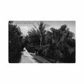 bermuda entrance to soncy william weiss co 93 Vintage A4 Photo Print
