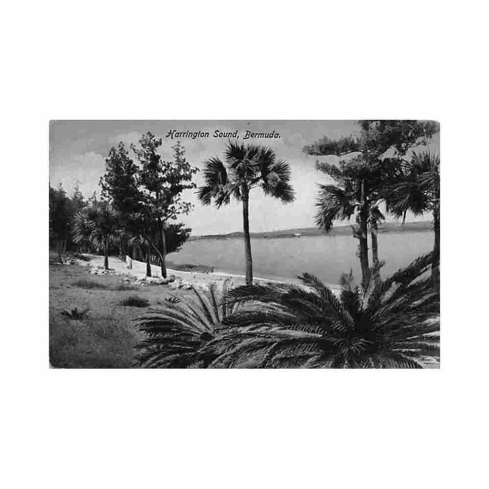 bermuda harrington sound see scans for condition phoenix drug co Vintage A4 Photo Print