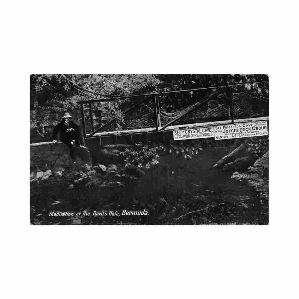 bermuda meditation at the devil s hole phoenix drug co Vintage A4 Photo Print