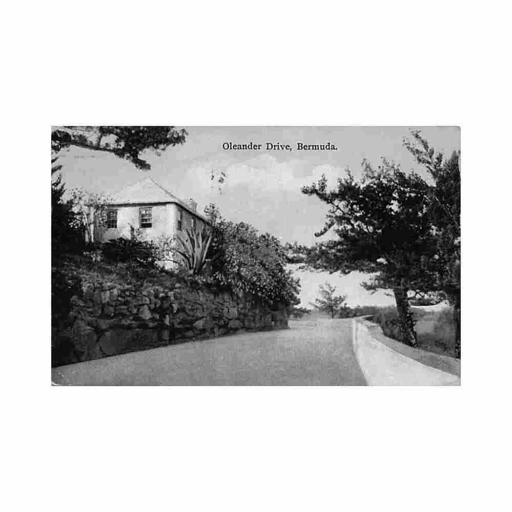 bermuda oleander drive yankee store phoenix drug store 84 Vintage A4 Photo Print