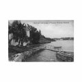 bermuda pembroke scene and rustic bridge at norwood j h bradley co 129 Vintage A4 Photo Print