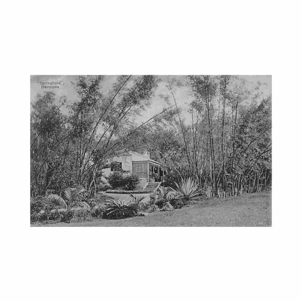 bermuda springfield wm weiss co 94 Vintage A4 Photo Print
