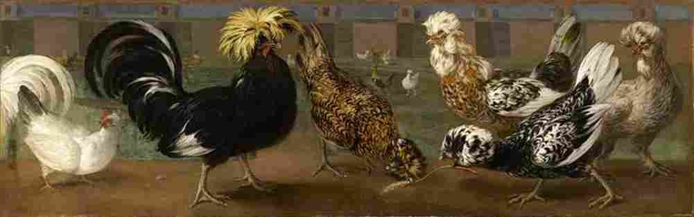 bernaerts barnyard Art A4 Photo Print