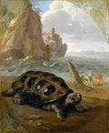 bernaerts sea turtle Art A4 Photo Print