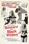 beware black widow  01 film star poster A4 Photo Print