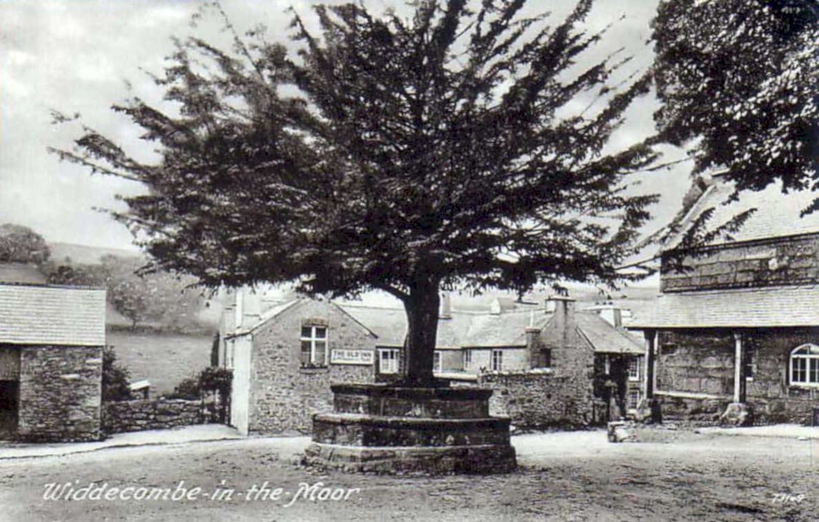 bidecombe tree wellVintage 1880s 1900s A4 Photo Print