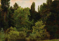 bierstadt deep in the rockies Art A4 Photo Print