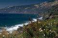 big sur ocean 1980s 1990s A4 Photo Print