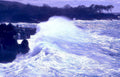big wave kona Vintage A4 Photo Print