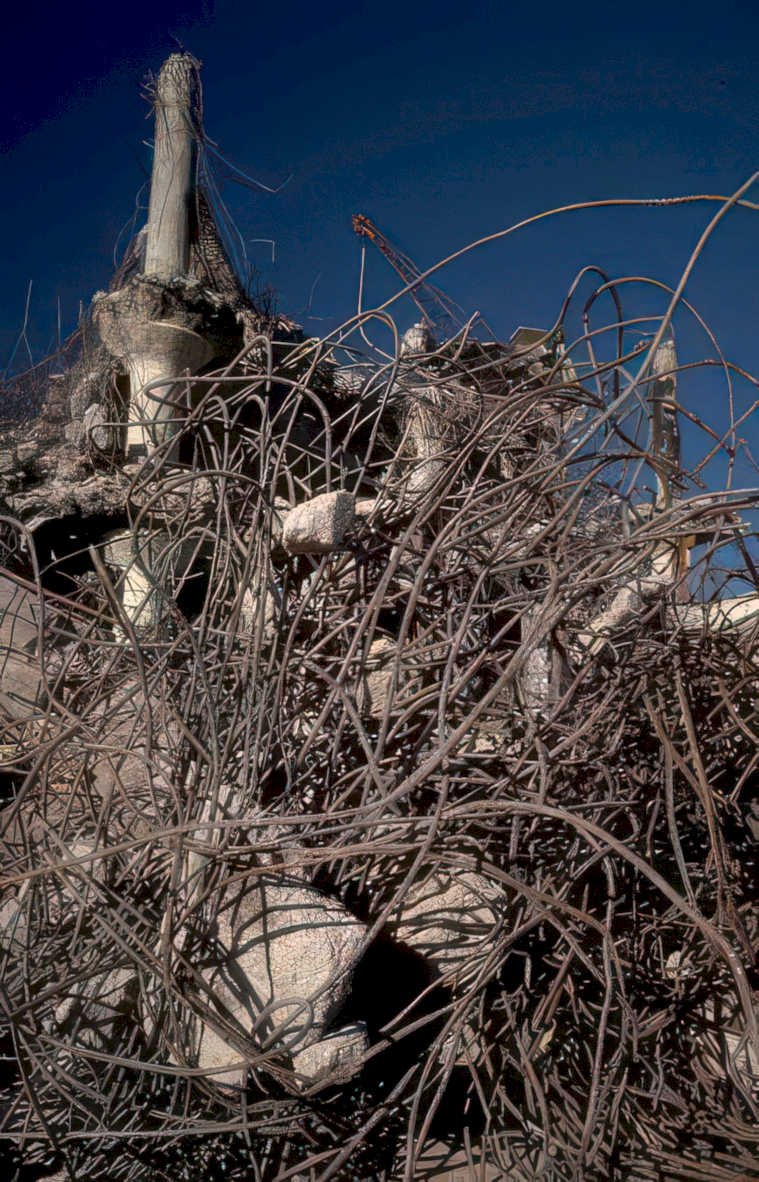 bird nest rocks Vintage A4 Photo Print