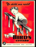 birds custard boy on banister Advert A4 Photo Print