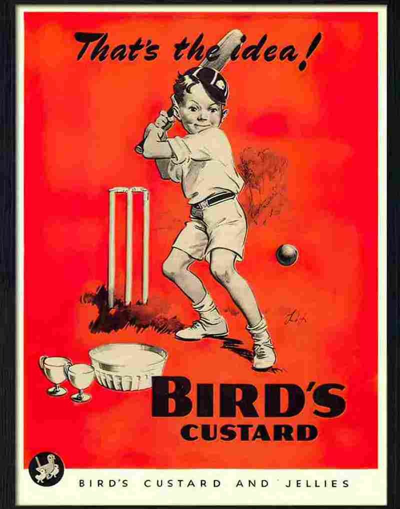 birds custard boy playing cricket Advert A4 Photo Print