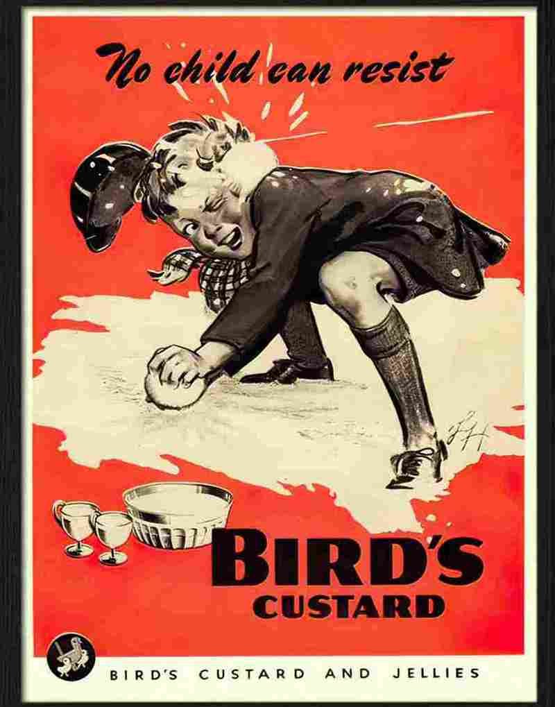 birds custard boy playing snowballs Advert A4 Photo Print