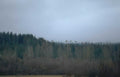 birds hills forest Vintage A4 Photo Print