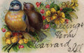 birds real glitter garrard kentucky usa embossed greetings old 183954 A4 Photo Print