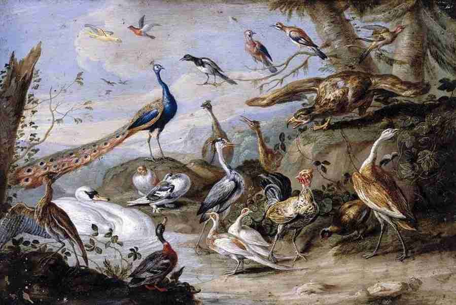 birds ri Art A4 Photo Print