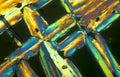 birefringent crystals tourmaline Vintage A4 Photo Print