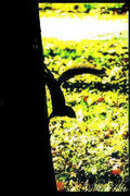 black axe head Vintage A4 Photo Print