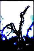 black blue branch Vintage A4 Photo Print