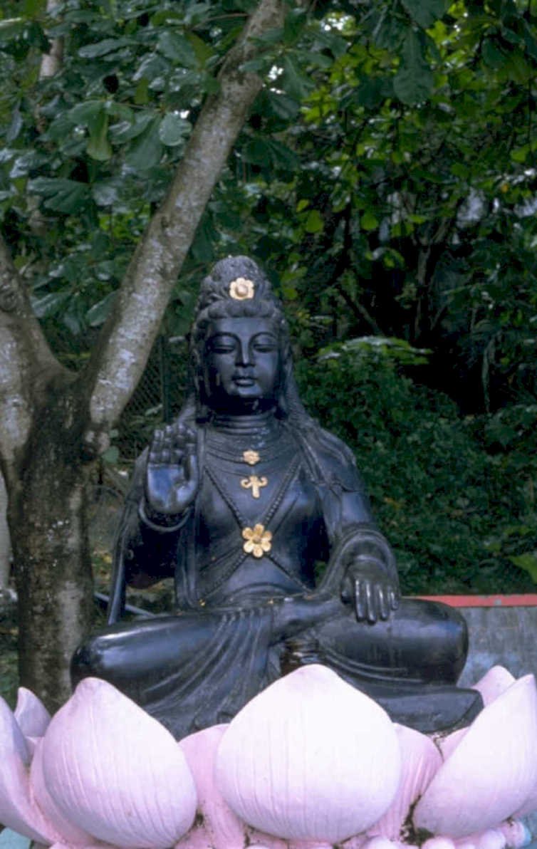black buddha lotus 1980s 1990s A4 Photo Print