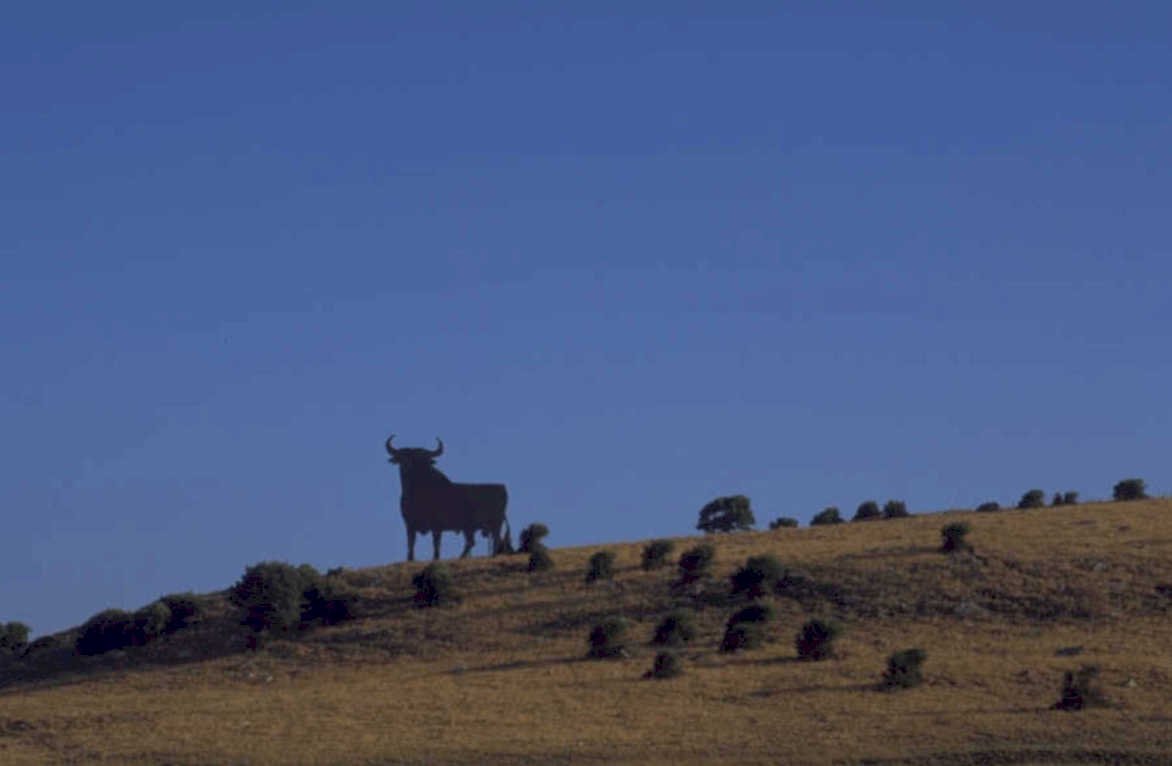 black bull hilltop 1980s 1990s A4 Photo Print