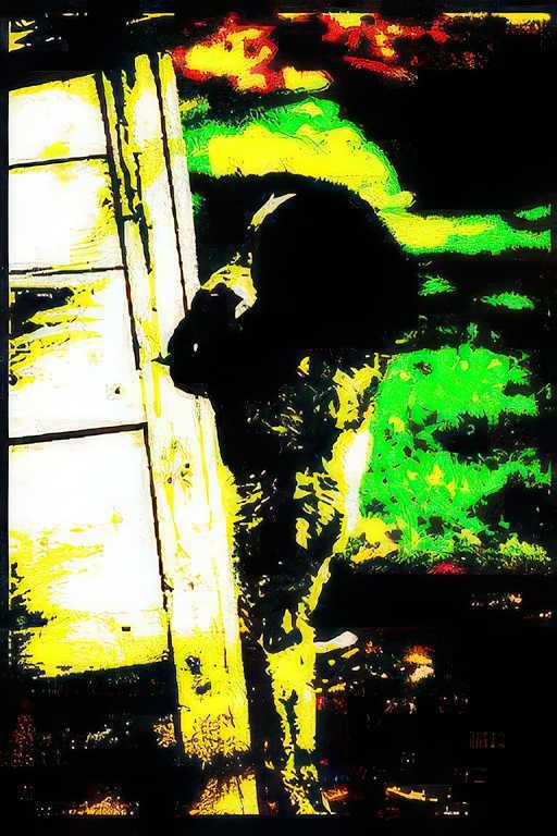 black cat door Vintage A4 Photo Print