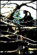 black cat winter Vintage A4 Photo Print