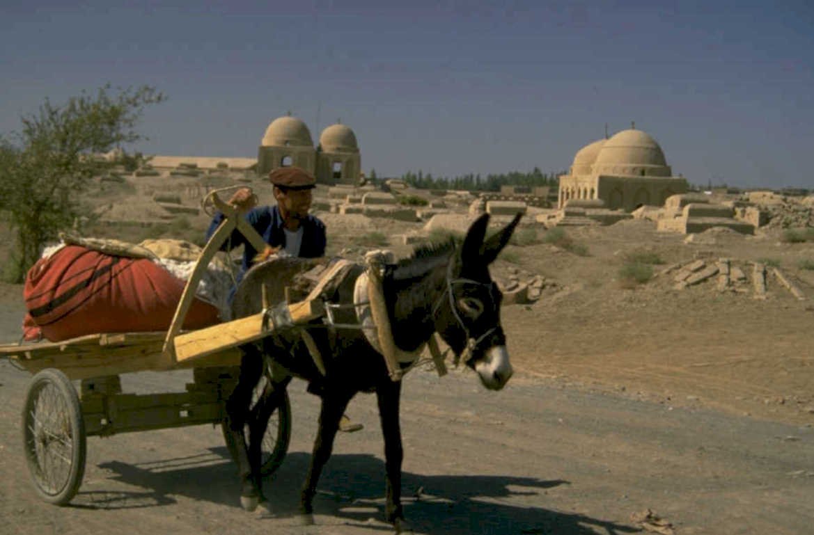 black donkey cart 1980s 1990s A4 Photo Print
