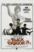 black dragon  01 film star poster A4 Photo Print