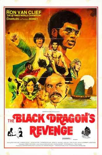 black dragons revenge  01 film star poster A4 Photo Print