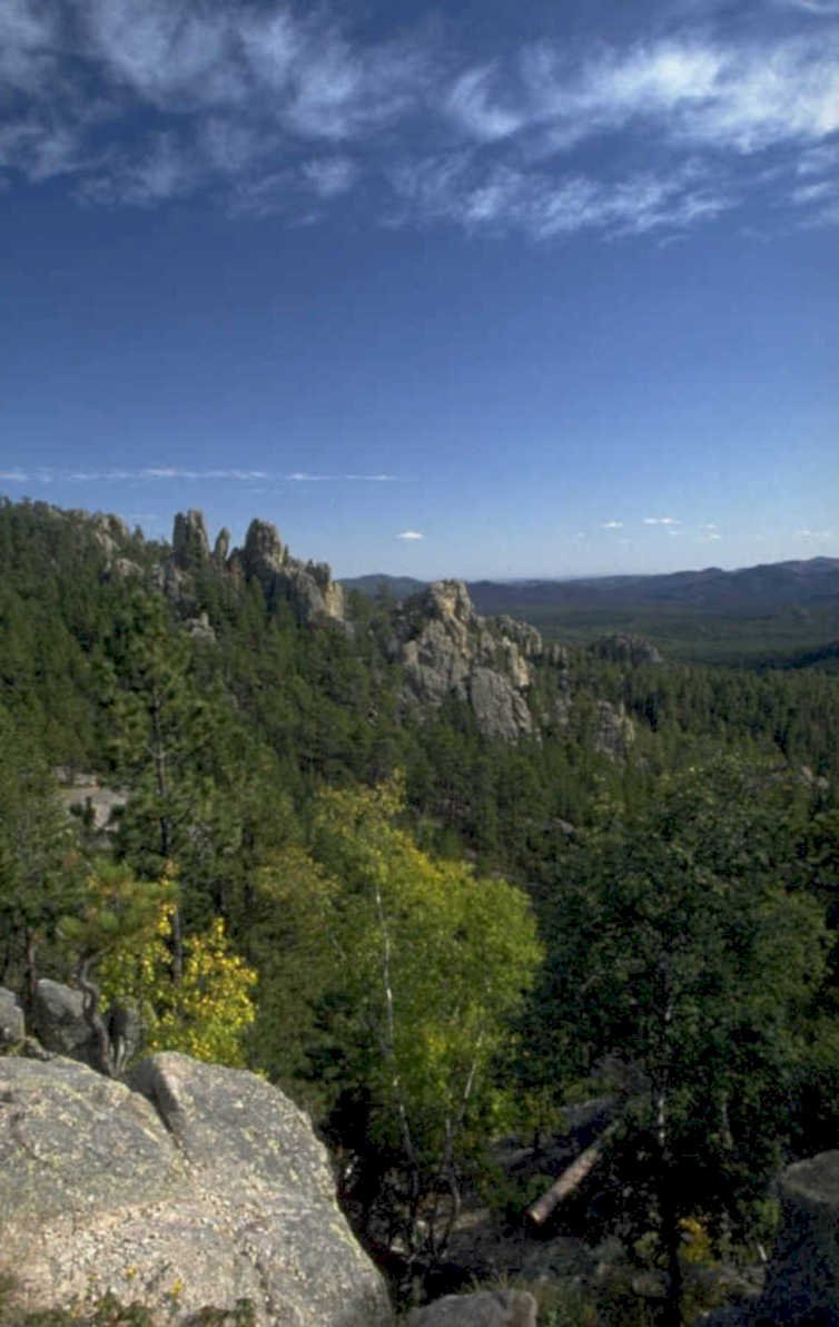 black hills needles 1980s 1990s A4 Photo Print